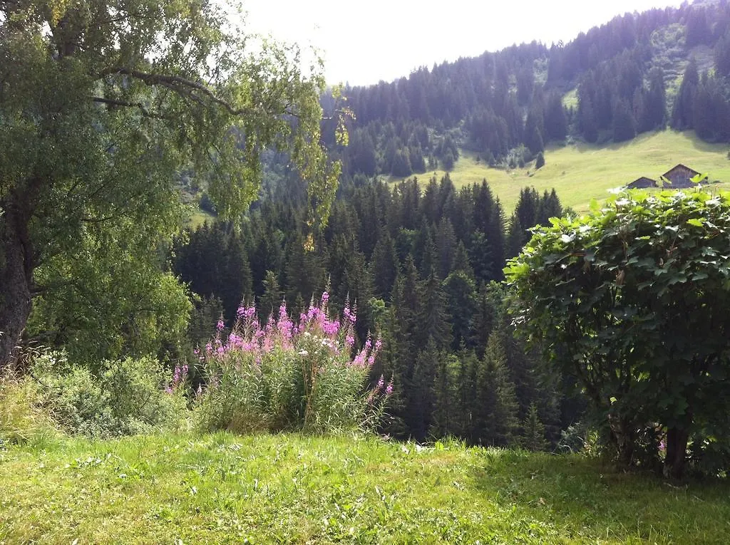 Chalet La Dartuelle Villa Notre-Dame-de-Bellecombe